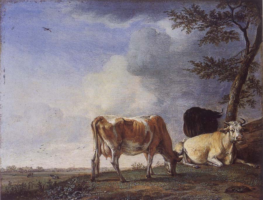 Three Cows in a Pasture